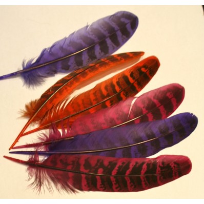 bag dyed pheasant wing feathers