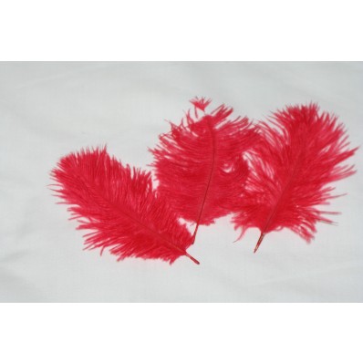 chick ostrich feathers all colours