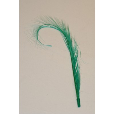 double burnt ostrich feather mount