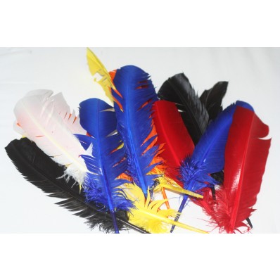 Eagle Indian feathers