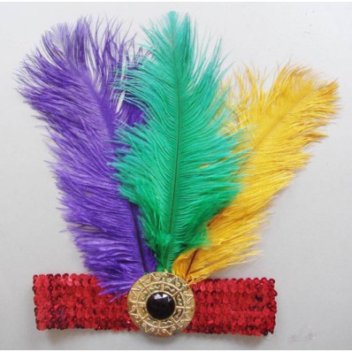 Feather Headband