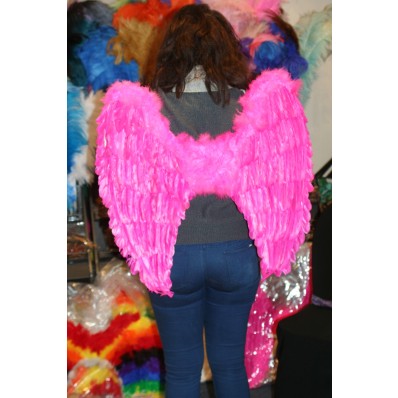 Medium Feather wings 2 colours