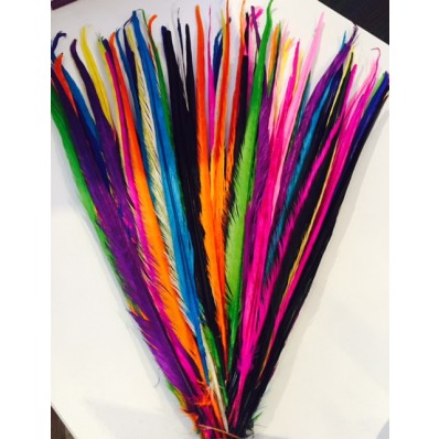 5 rainbow mix 20-22inch dyed pheasant feather