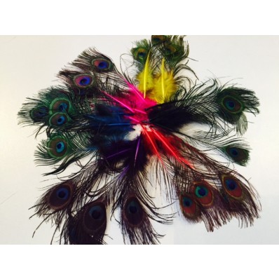 mini dyed peacock feathers