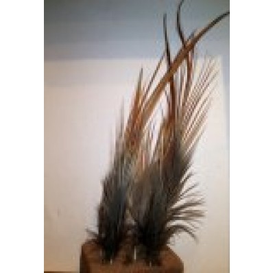10x natural heron feathers