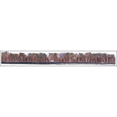 Pheasant Feather Fringe Hs46