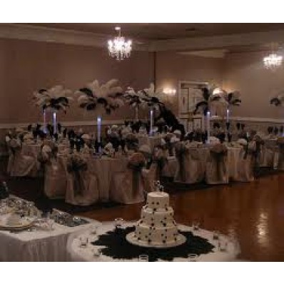 Ostrich Feather Centerpiece same as we hire for £25