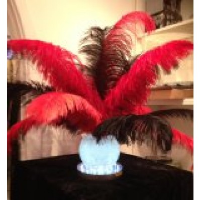 Ostrich Feather goldfish bowl Centerpiece Hire