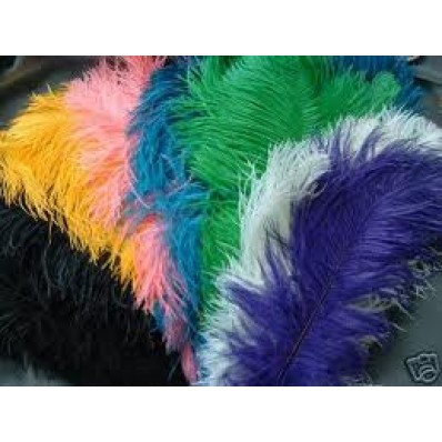 ostrich plume feather 20-22inch all colours