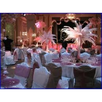 Purple ostrich feather centerpieces outlet