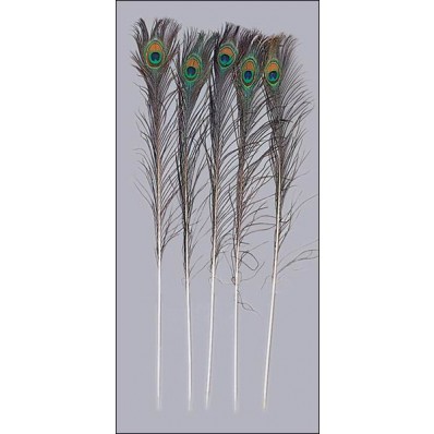 Long Peacock Feathers