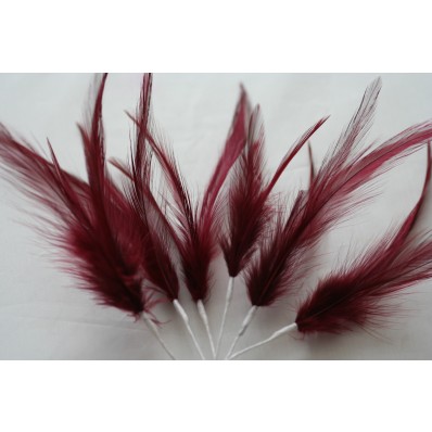 Wired feather mount claret