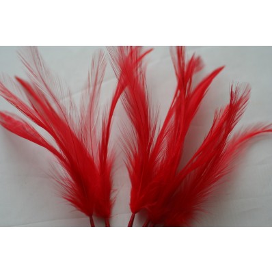 Wired feathers red