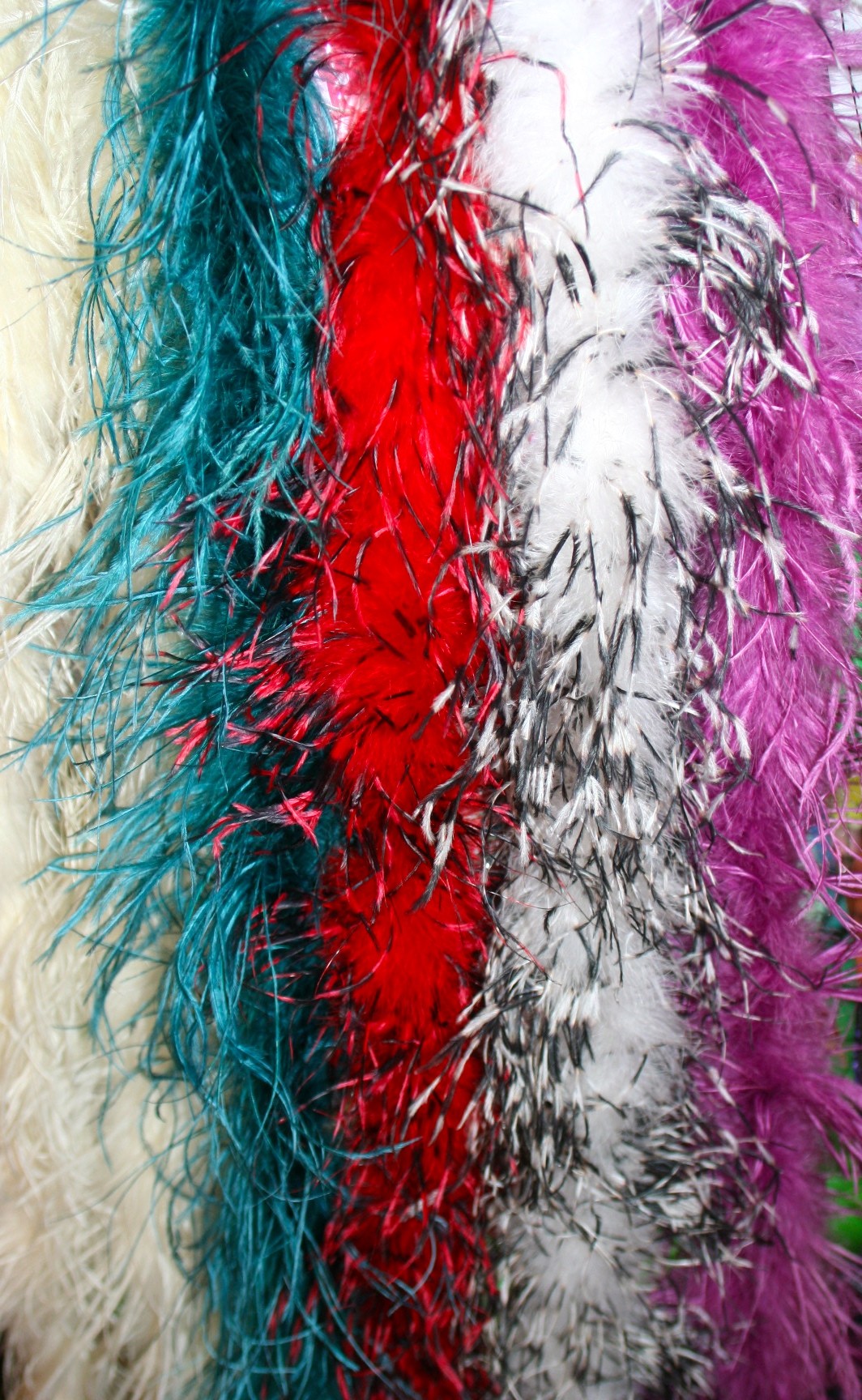 Ostrich feather outlet company