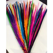 5 rainbow mix 20-22inch dyed pheasant feather