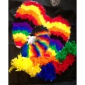 gay pride rainbow set