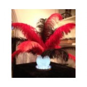 Ostrich Feather goldfish Centerpiece same as we hire 