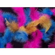 Bag fluffy hen feathers any colour