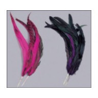 coque feather mount cerise