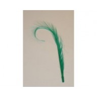 double burnt ostrich feather mount