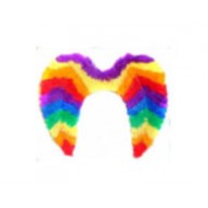 Feather wings rainbow pride color
