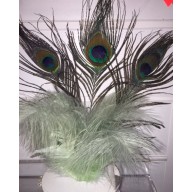 peacock topper