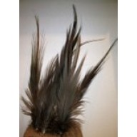 10x natural heron feathers