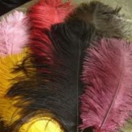 ostrich plume feather 12-14inch all colours