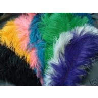 ostrich plume feather 20-22inch all colours