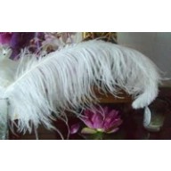 ostrich plume feather 26-28inch all colours