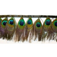 Peacock Feather Fringe