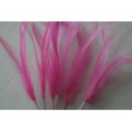 Wired feather mount hot pink