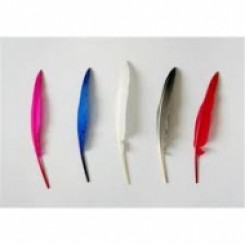 Bag Duck quill feathers