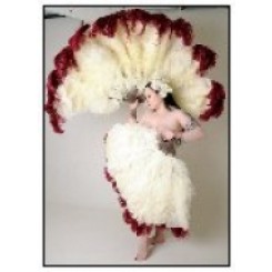 Burlesque triple feather fan 26-28inch plumes