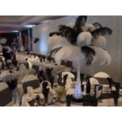 chair cover hire