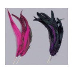 coque feather mount purple