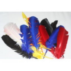 Eagle Indian feathers