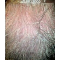 ostrich feather floaty Fringe baby pink
