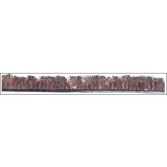 Pheasant Feather Fringe Hs46