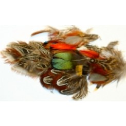 Mixed Pheasant Plumage Feather