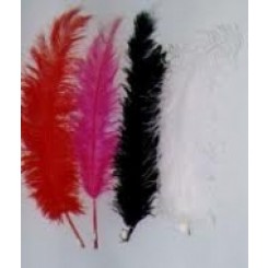 Ostrich feather fan 20-26inch spadone double layer