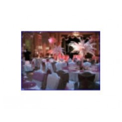 Ostrich Feather Centerpiece Hire