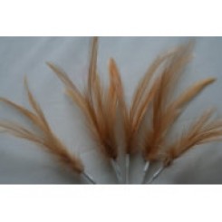 Wired feathers beige