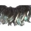 12-14inch Coque Feather Fringe