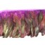 6/8inch Coque Feather Fringe purple