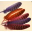 bag dyed pheasant wing feathers
