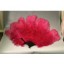Burlesque feather fan double layer 20-22inch