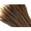 Golden Pheasant Feathers