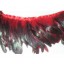 Coque Feather Fringe red