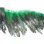 Coque Feather Fringe Green